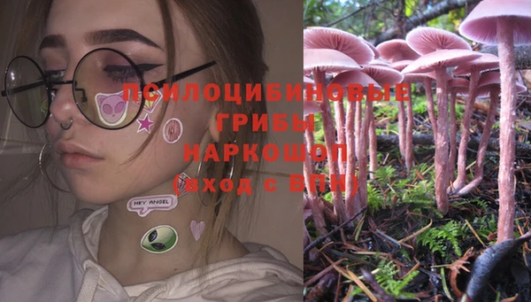 mdpv Лабытнанги