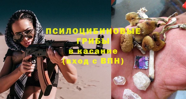 apvp Ладушкин