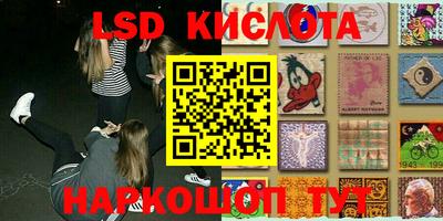 сатива Гатчина