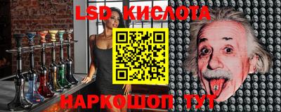 сатива Гатчина