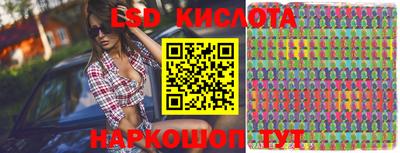 сатива Гатчина