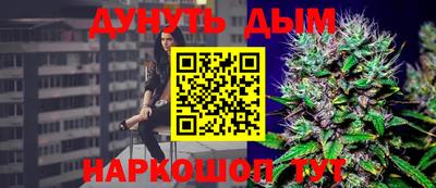 сатива Гатчина