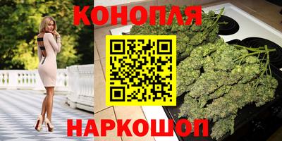сатива Апшеронск