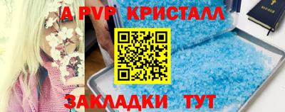 сатива Апшеронск