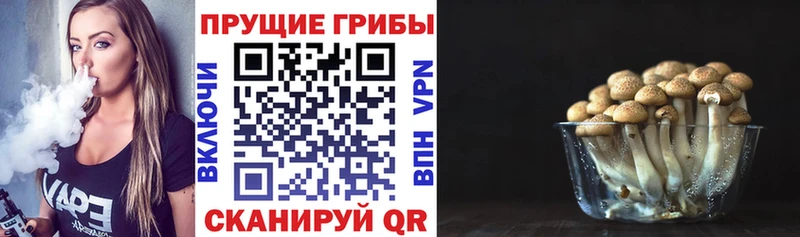 Псилоцибиновые грибы MAGIC MUSHROOMS  MEGA tor  Бирск 