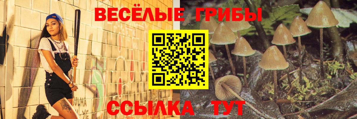 Галлюциногенные грибы мицелий  дарнет шоп  Бирск 