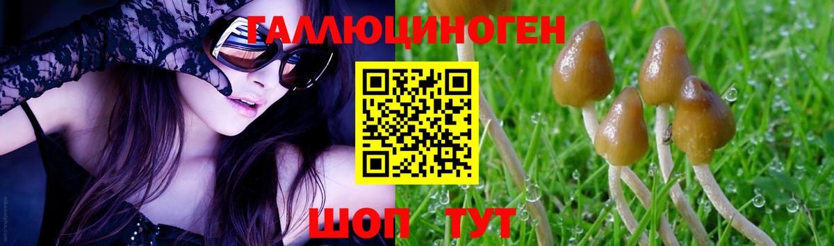 Псилоцибиновые грибы ЛСД  Вход с VPN  Бирск 