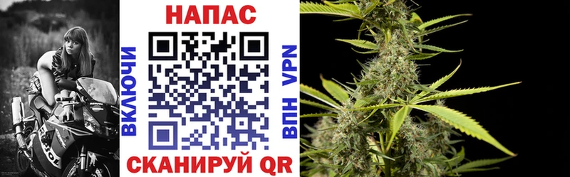 Бошки Шишки сатива  Бирск 